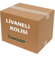 Livaneli Kolisi (21 Kitap - 72 Adet)