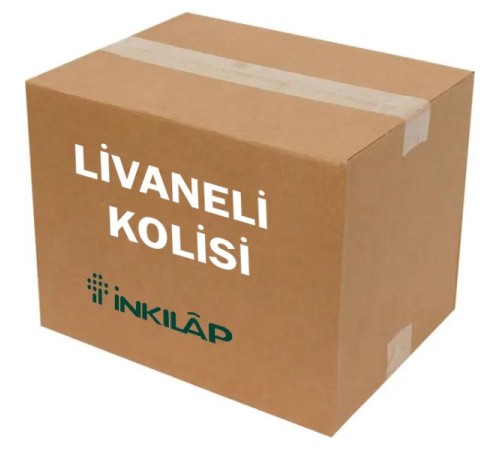 Livaneli Kolisi (21 Kitap - 72 Adet)