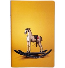 Nesin Defter - Sallanan At