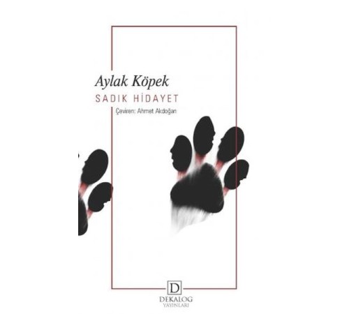 Aylak Köpek Aylak Köpek