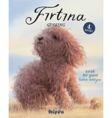 Fırtına