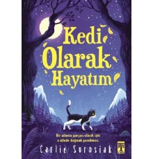 Kedi Olarak Hayatım
