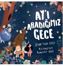 Ay’ı Aradığımız Gece