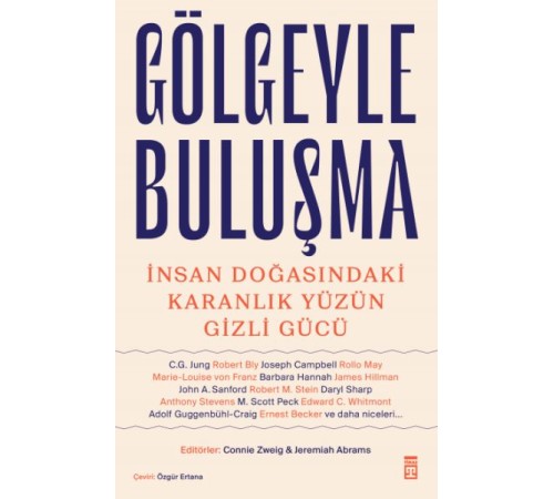 Gölgeyle Buluşma & İnsan Doğasındaki Karanlık Yüzün Gizli Gücü