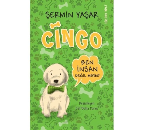 Cingo