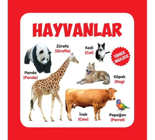 Hayvanlar Türkçe-İngilizce Hayvanlar Türkçe-İngilizce