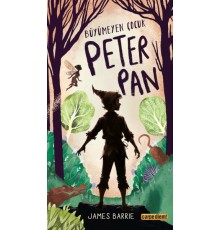 Büyümeyen Çocuk Peter Pan