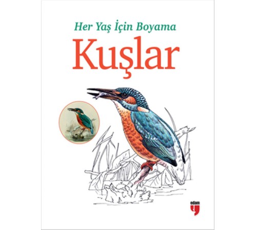 Her Yaş İçin Boyama - Kuşlar