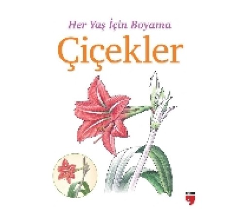 Her Yaş İçin Boyama - Çiçekler