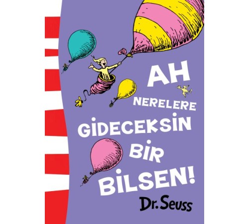 Ah Nerelere Gideceksin Bir Bilsen!