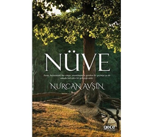 Nüve Nüve