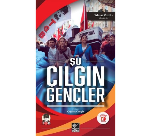 Şu Çılgın Gençler