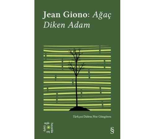 Ağaç Diken Adam - Everest Açıkhava 17