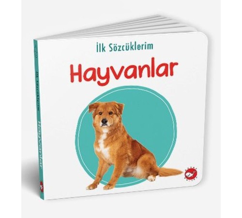 İlk Sözcüklerim - Hayvanlar
