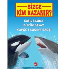 Sizce Kim Kazanır? Katil Balina Büyük Beyaz Köpek Balığına Karşı