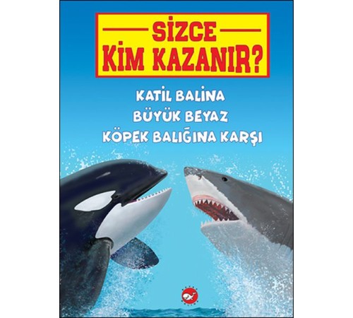 Sizce Kim Kazanır? Katil Balina Büyük Beyaz Köpek Balığına Karşı