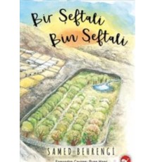 Bir Şeftali Bin Şeftali (Ciltli)