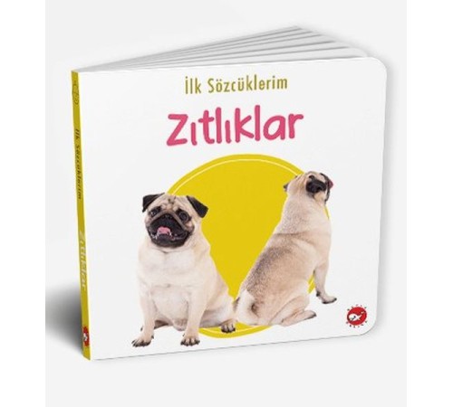 İlk Sözcüklerim - Zıtlıklar