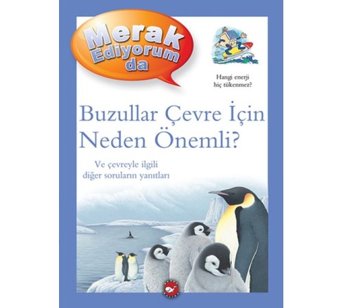 Merak Ediyorum Da - Buzullar Çevre İçin Neden Önemli?