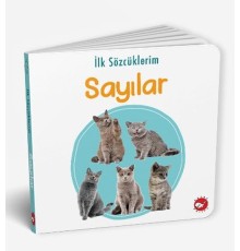 İlk Sözcüklerim - Sayılar