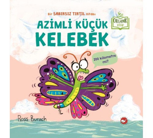 Azimli Küçük Kelebek Azimli Küçük Kelebek