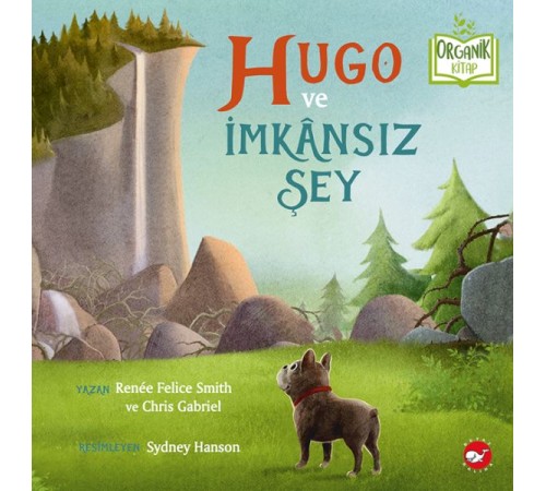 Hugo ve İmkânsız Şey - Organik Kitaplar
