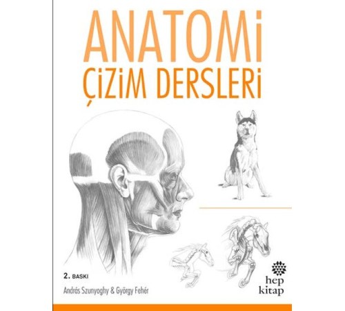 Anatomi Çizim Dersleri