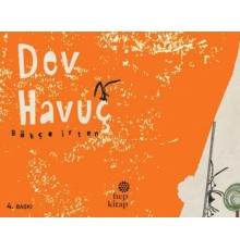 Dev Havuç