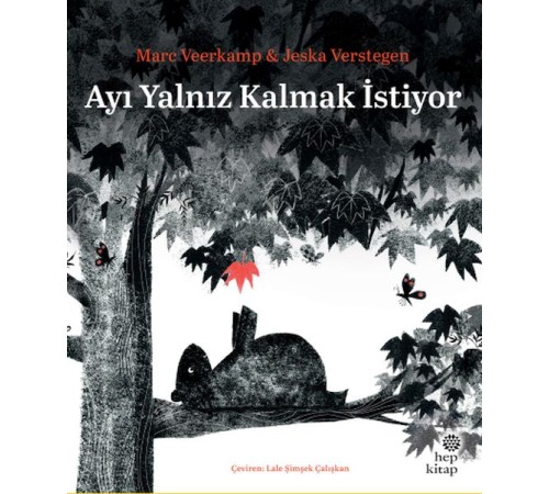 Ayı Yalnız Kalmak İstiyor