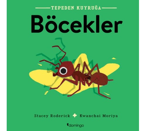 Tepeden Kuyruğa - Böcekler