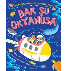 Bak Şu Okyanusa