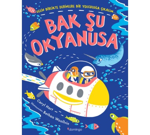 Bak Şu Okyanusa