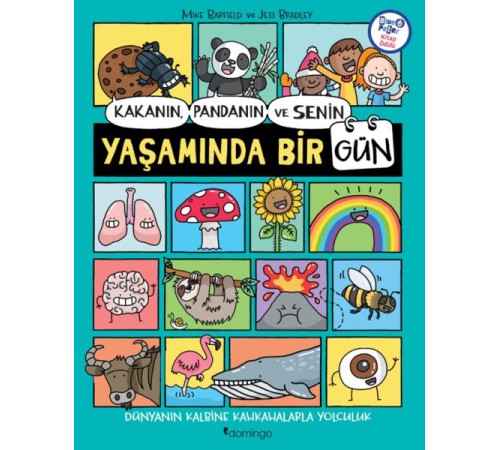 Kakanın, Pandanın ve Senin Yaşamında Bir Gün