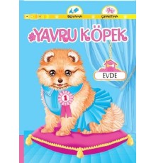 Yavru Köpek Evde