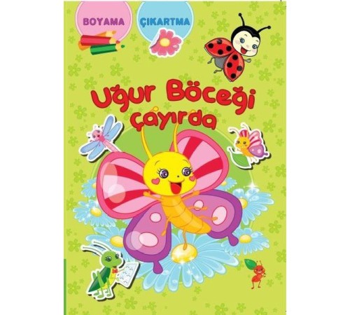 Uğur Böceği Çayırda