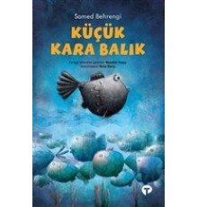 Küçük Kara Balık