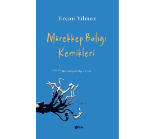 Mürekkep Balığı Kemikleri Mürekkep Balığı Kemikleri