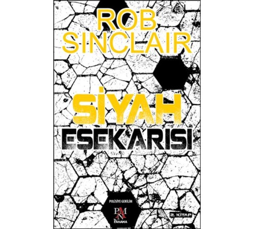 Siyah Eşekarısı 2. Kitap