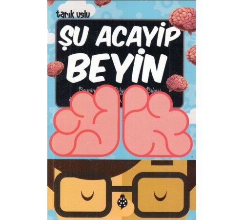 Şu Acayip Beyin Şu Acayip Beyin