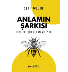Anlamın Şarkısı