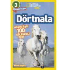 Dörtnala - Atlarla İlgili 10 Eğlenceli Bilgi - 3 Seviye