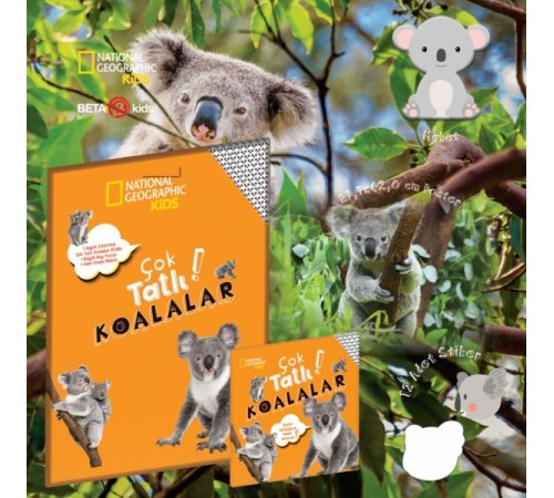 Çok Tatlı Koalalar - National Geographic Kids