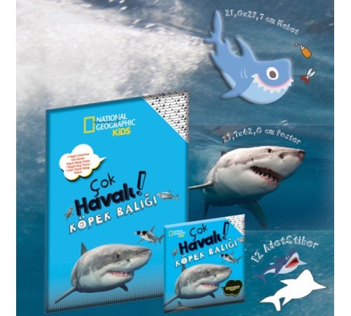 Çok Havalı Köpek Balığı - National Geographic Kids