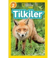 Tilkiler - Seviye 2