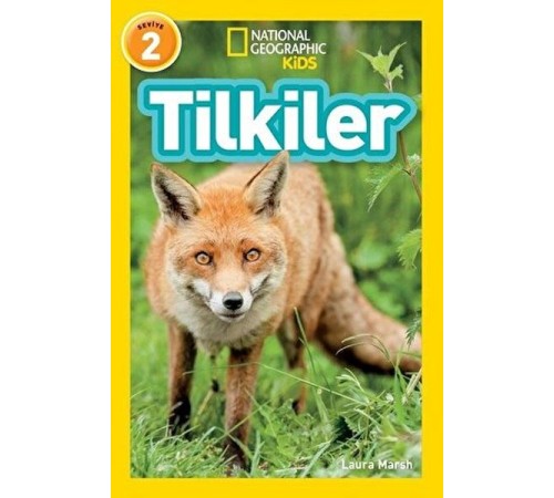 Tilkiler - Seviye 2