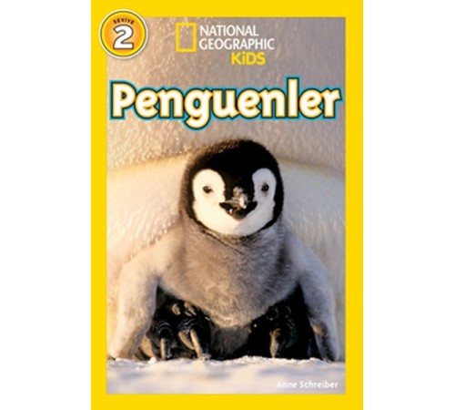 Penguenler
