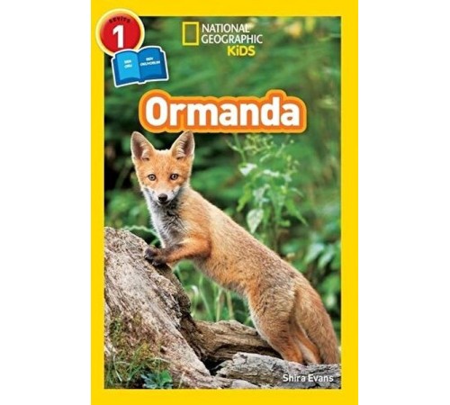 Ormanda - Seviye 1