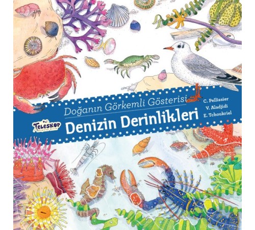 Denizin Derinlikleri - Doğanın Görkemli Gösterisi