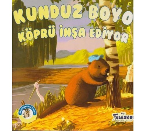 Kunduz Boyo Köprü İnşa Ediyor - Ormandan Hikayeler