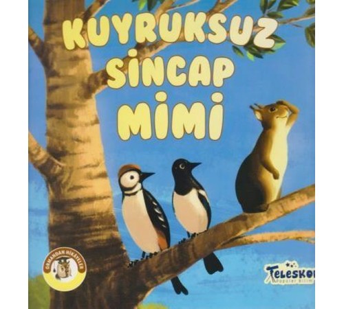 Kuyruksuz Sincap Mimi - Ormandan Hikayeler